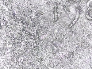 1982-D-Lmc-Small-Date-Found-Metal-Detecting-Weighs-3-Grams